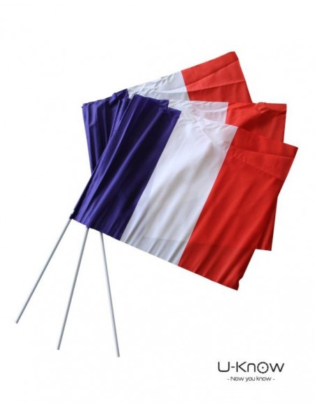 DS 95 / Drapeau de Supporter 64 x 51 cm-PLV-Alchimistes