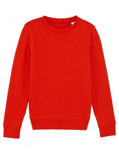 Mini Changer Sweatshirt Col Rond Enfant-Enfants-Alchimistes