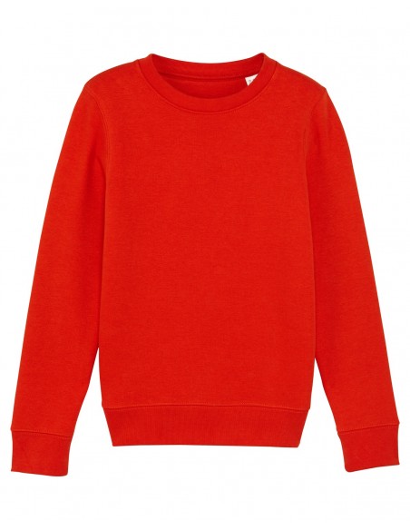 Mini Changer Sweatshirt Col Rond Enfant-Enfants-Alchimistes