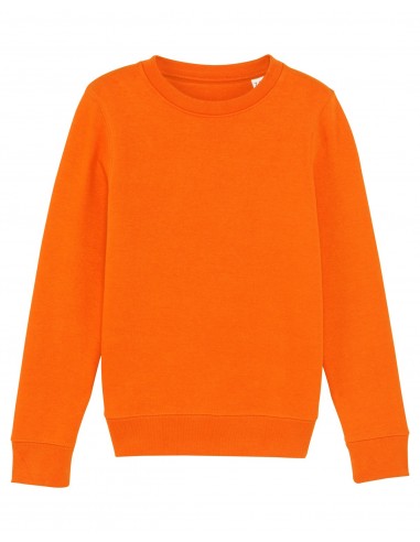 Mini Changer Sweatshirt Col Rond Enfant-Enfants-Alchimistes