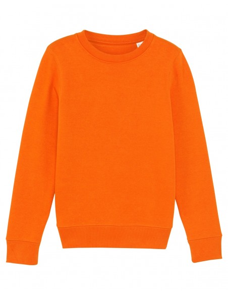 Mini Changer Sweatshirt Col Rond Enfant-Enfants-Alchimistes