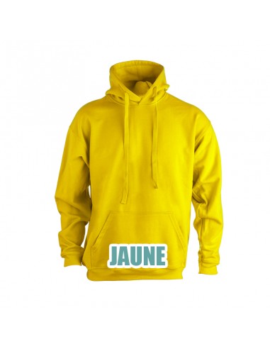 Sweatshirt Eco-Sweats Capuche-Alchimistes