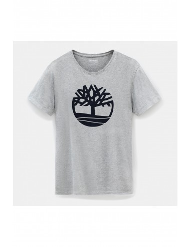 T-SHIRT BIO BRAND TREE - TB0A2C2R-Accueil-Alchimistes