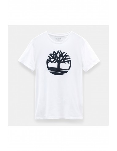 T-SHIRT BIO BRAND TREE - TB0A2C2R-Accueil-Alchimistes