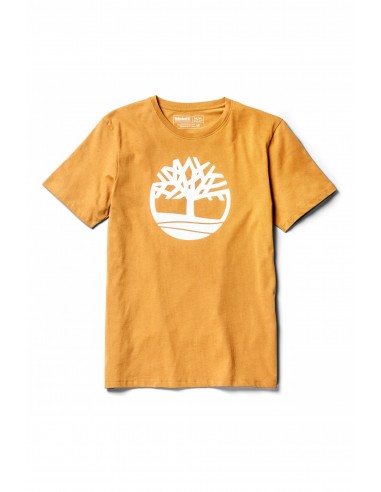 T-SHIRT BIO BRAND TREE - TB0A2C2R-Accueil-Alchimistes