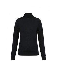 Pull Mérinos col roulé...