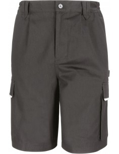 SHORT ACTION - R309X