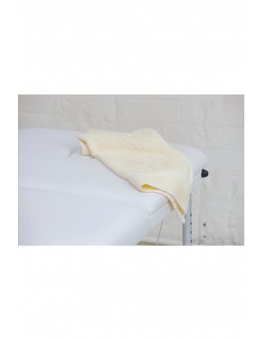 SERVIETTE DE TOILETTE - TC03-Accueil-Alchimistes