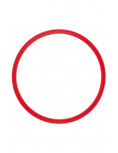 Cerceau plat - PA653