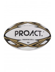 Ballon challenger T5 - PA824