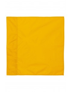 Drapeau uni de poteau de... 2