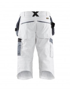 Pantacourt X1500 Peintre 2