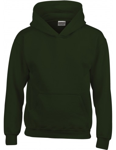 Sweat-shirt enfant capuche Heavy Blend™ - GI18500B-Sweat-Alchimistes