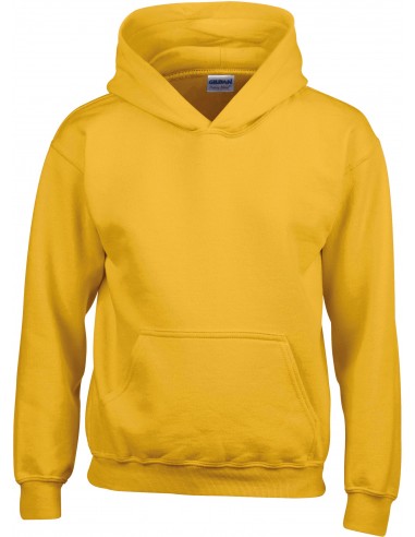 Sweat-shirt enfant capuche Heavy Blend™ - GI18500B-Sweat-Alchimistes