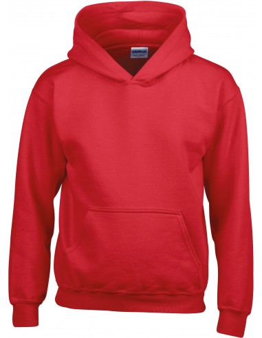 Sweat-shirt enfant capuche Heavy Blend™ - GI18500B-Sweat-Alchimistes