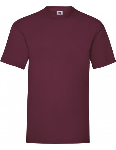 T-shirt homme Valueweight (61-036-0) - SC221-T-Shirts-Alchimistes