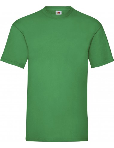 T-shirt homme Valueweight (61-036-0) - SC221-T-Shirts-Alchimistes