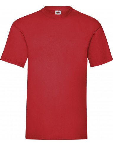 T-shirt homme Valueweight (61-036-0) - SC221-T-Shirts-Alchimistes