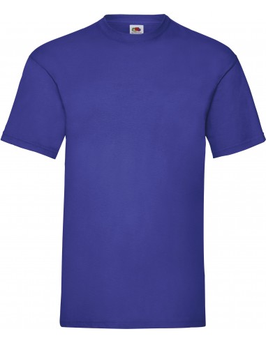 T-shirt homme Valueweight (61-036-0) - SC221-T-Shirts-Alchimistes