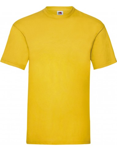 T-shirt homme Valueweight (61-036-0) - SC221-T-Shirts-Alchimistes