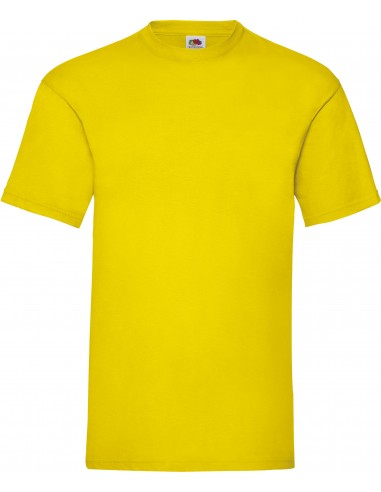 T-shirt homme Valueweight (61-036-0) - SC221-T-Shirts-Alchimistes