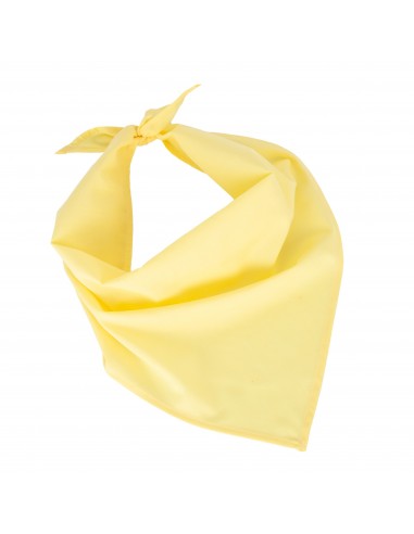 Fiesta - Bandana - KP064-Bonnets et écharpes-Alchimistes