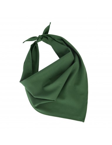 Fiesta - Bandana - KP064-Bonnets et écharpes-Alchimistes