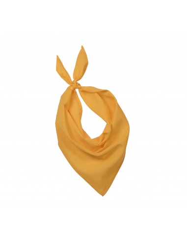 Fiesta - Bandana - KP064-Bonnets et écharpes-Alchimistes