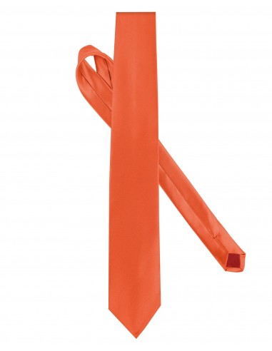 Cravate satinée - K860-Vetements-Alchimistes