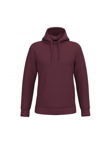 Sweat-shirt capuche homme - K476-Sweat-Alchimistes