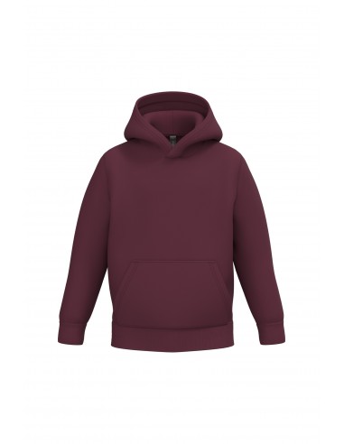 Sweat-shirt capuche enfant - K477-Sweat-Alchimistes