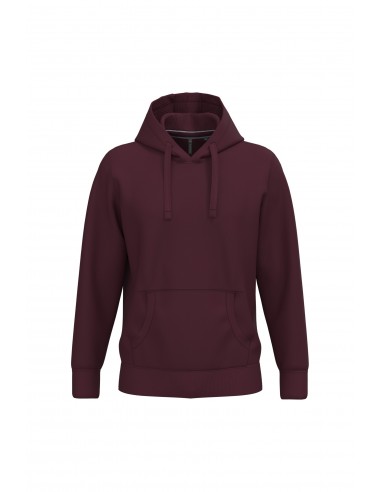 Sweat-shirt capuche homme - K489-Sweat-Alchimistes