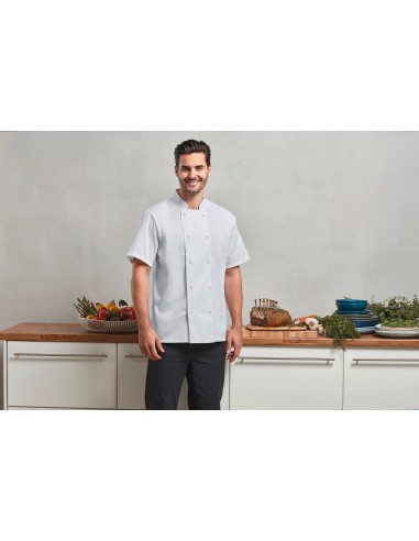 Veste chef cuisinier manches courtes Coolchecker® - PR902-Vestes / Bodies-Alchimistes
