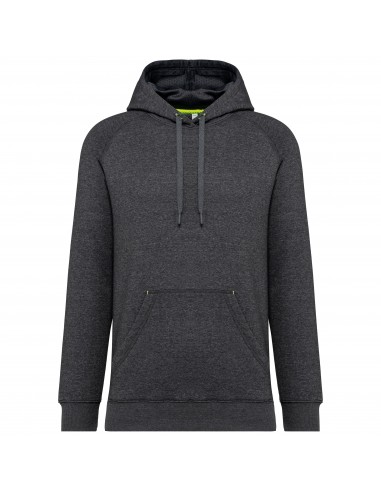 Sweat-shirt à capuche unisexe - PA382-Sweat-Alchimistes