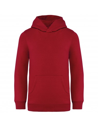 Sweat-shirt écoresponsable à capuche enfant - NS404-Sweat-Alchimistes