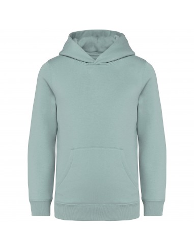 Sweat-shirt écoresponsable à capuche enfant - NS404-Sweat-Alchimistes