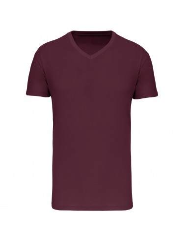 T-shirt Bio150 IC col V homme - K3028IC-T-Shirts-Alchimistes
