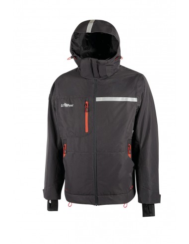 Veste Wink - UPFU255-Vestes / Bodies-Alchimistes
