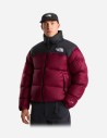 Veste 1996 Retro Nuptse pour homme The North Face