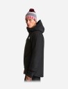 Veste Descendit pour homme The North Face