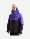Anorak Evryday pour homme The North Face