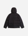 Veste à capuche Frost Fall pour homme The North Face