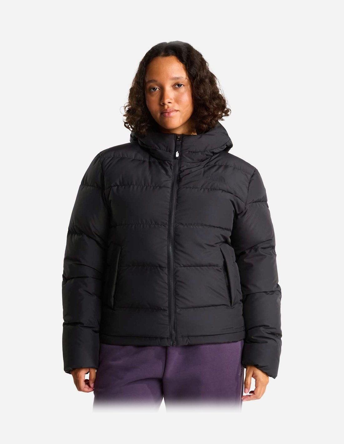 Veste à capuche Frost Fall pour femme The North Face
