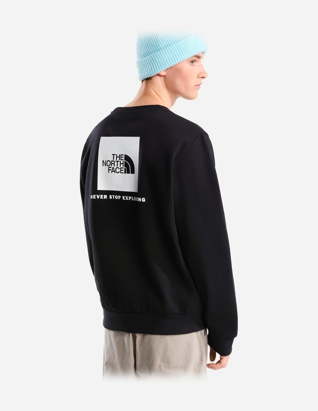 Sweat coupe regular Evolution Box NSE pour homme The North Face