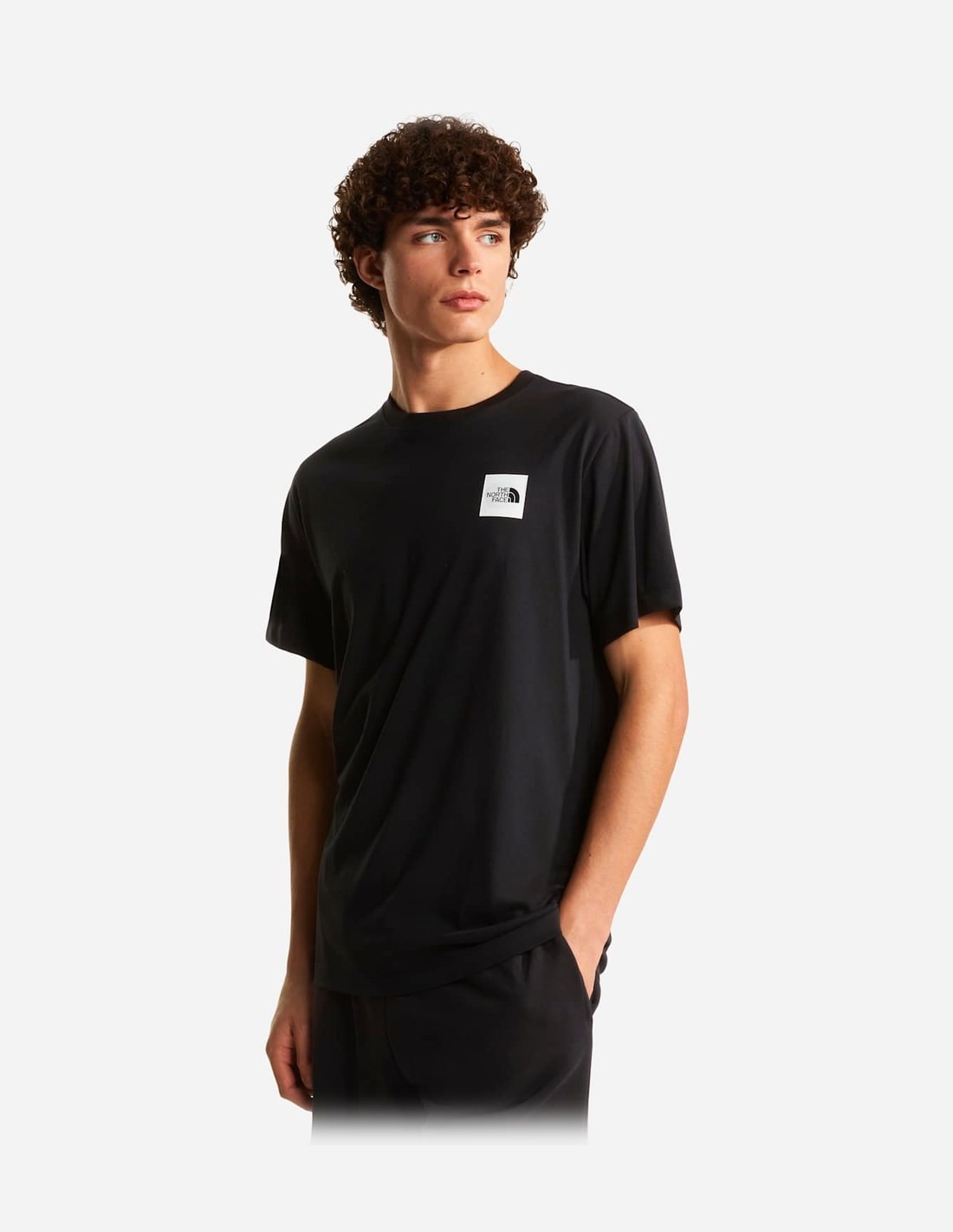 T-shirt standard Box Half Dome Evolution pour homme The North Face