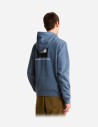 Sweat à capuche standard Evolution Box NSE pour homme The North Face