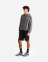 Polaire à capuche Oxara pour homme The North Face