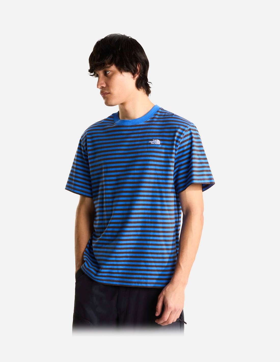 T-shirt à rayures Vista pour homme The North Face