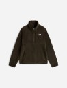 Polaire demi-zippée épaisse Koian pour homme The North Face