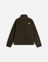 Polaire demi-zippée épaisse Koian pour homme The North Face